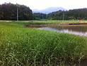 佐渡島「加茂湖デジタル風土記」制作プロジェクト