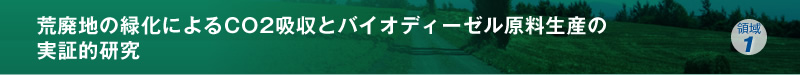 荒廃地の緑化によるCO2吸収とバイオディーゼル原料生産の実証的研究
