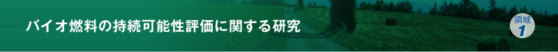 バイオ燃料の持続可能性評価に関する研究